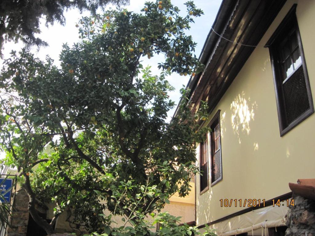 Afflon Hotels Old Marin Antalya Exterior foto